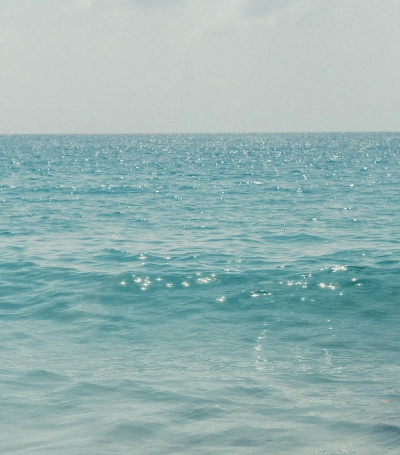 Ocean PFP