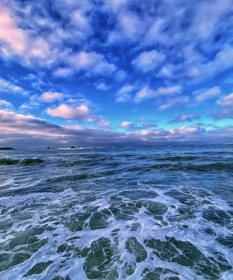 Ocean PFP