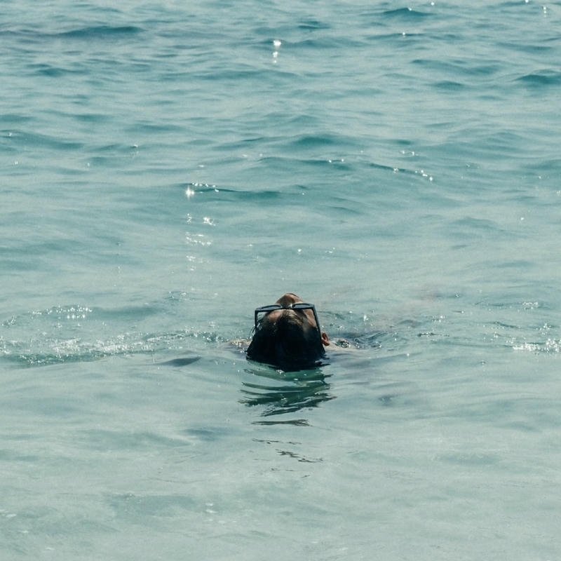 Ocean PFP