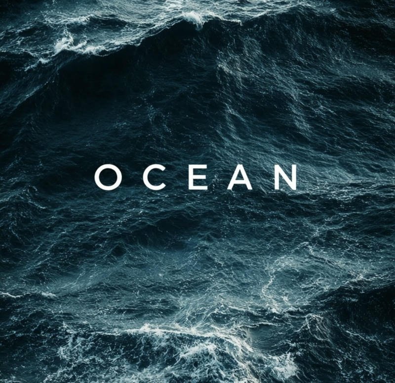 Ocean PFP