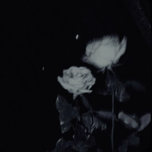 Black PFP