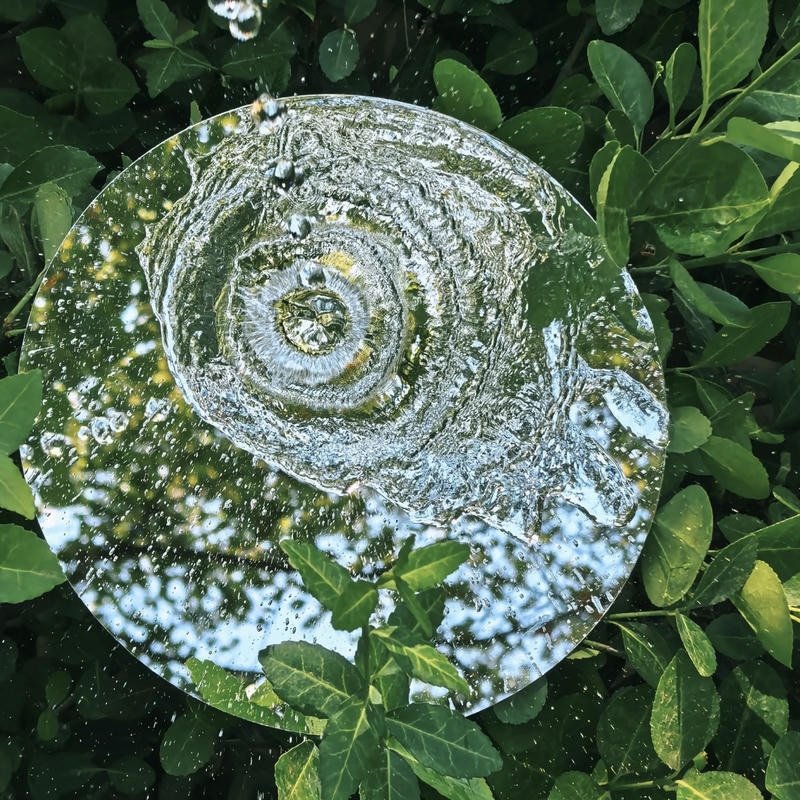 Nature PFP