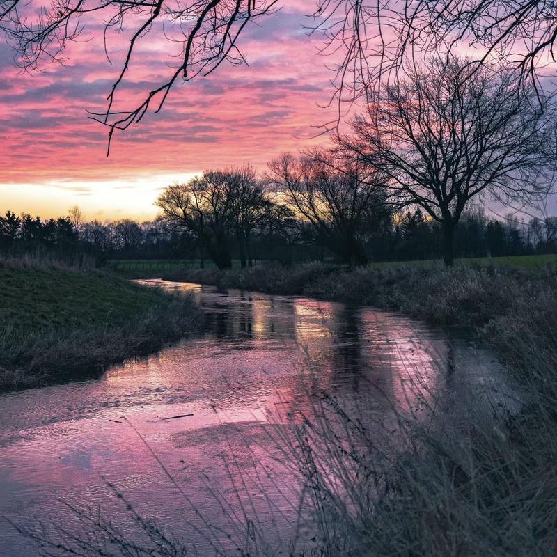 Soft nature PFPs