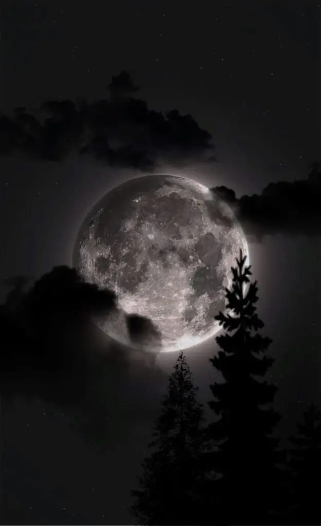 Moon PFP Dark