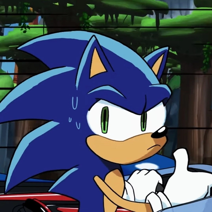 sonic pfp