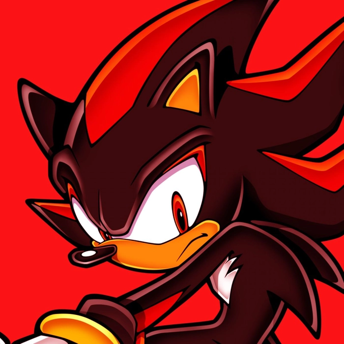 sonic pfp