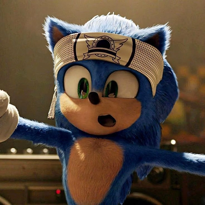 sonic pfp