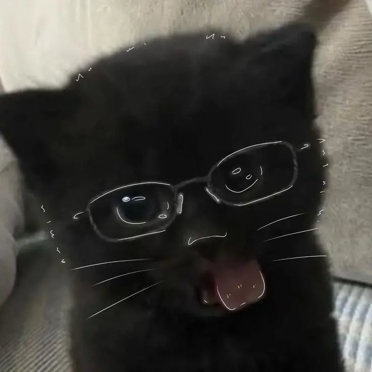 Cute Cat PFP Black