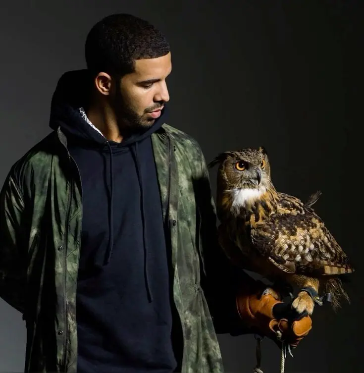 800+ Drake PFP: Aesthetic, Pinterest, Iceman, Meme, Tuff, 4k