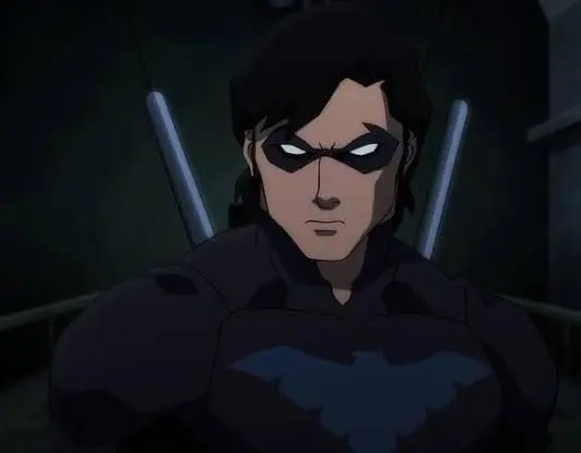Nightwing PFP Icon