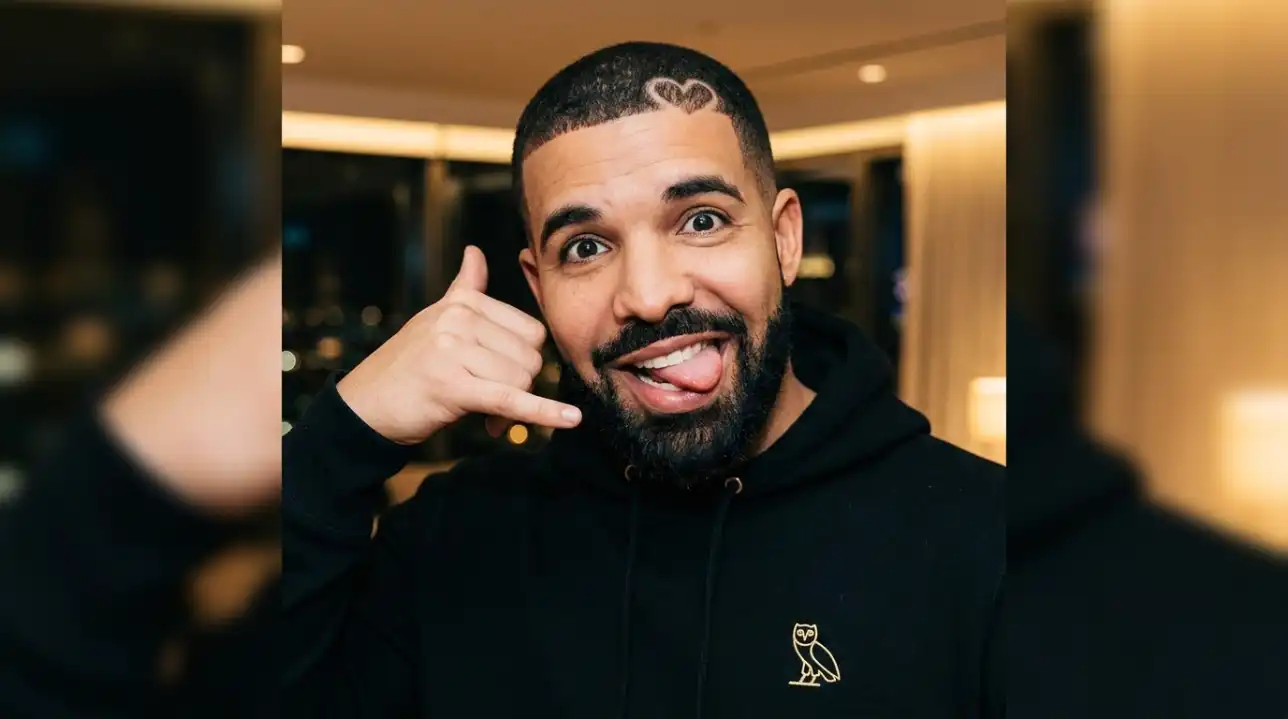 Drake PFP Funny