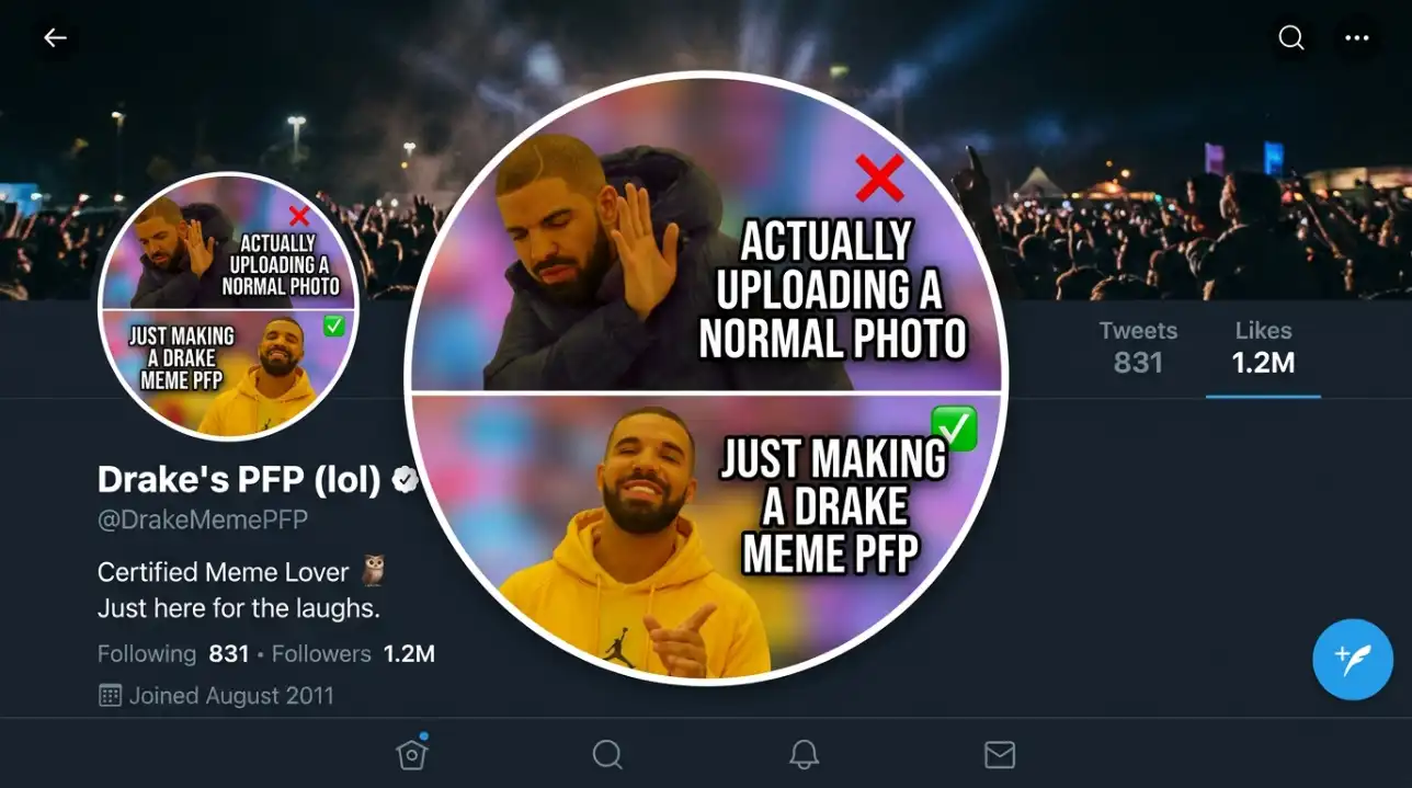 Drake PFP Meme